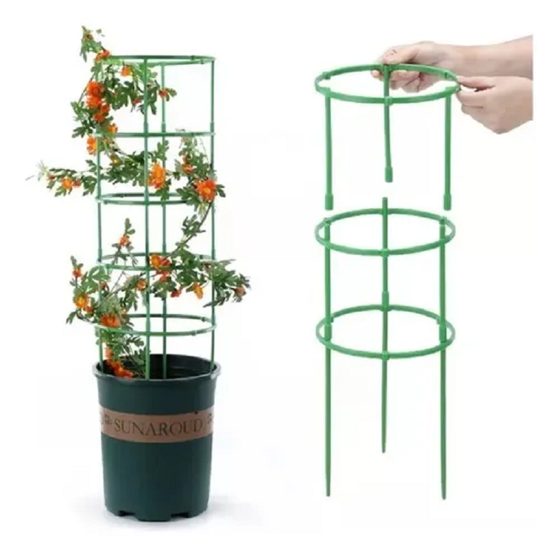 Miniatura 4 de Soporte Plantas Enredaderas Matas Rosas